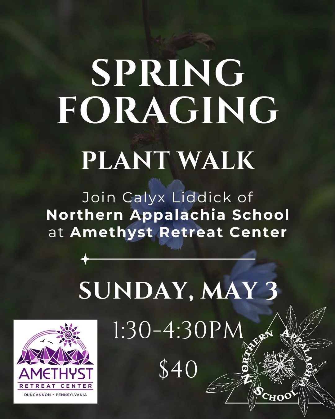 Spring Foraging Workshop