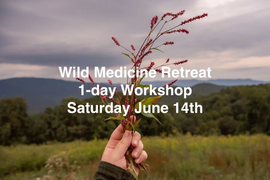 Wild Medicine Retreat 1-day workshop