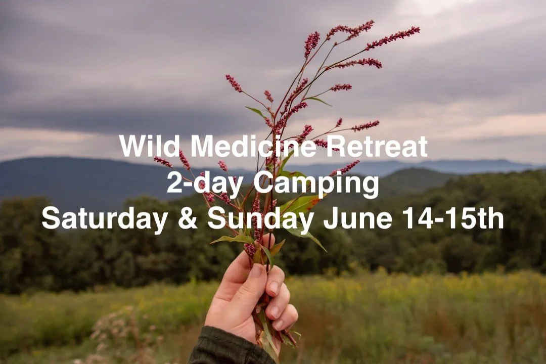Wild Medicine Retreat 2-day Camping