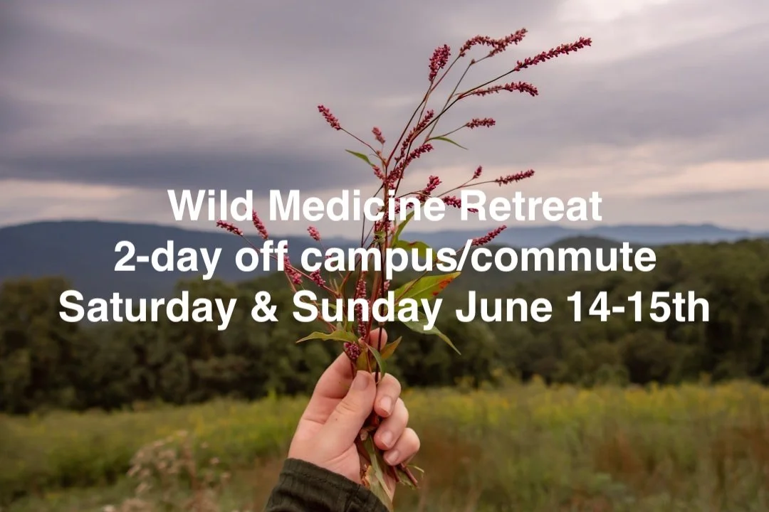 Wild Medicine Retreat 2-day off campus/commute