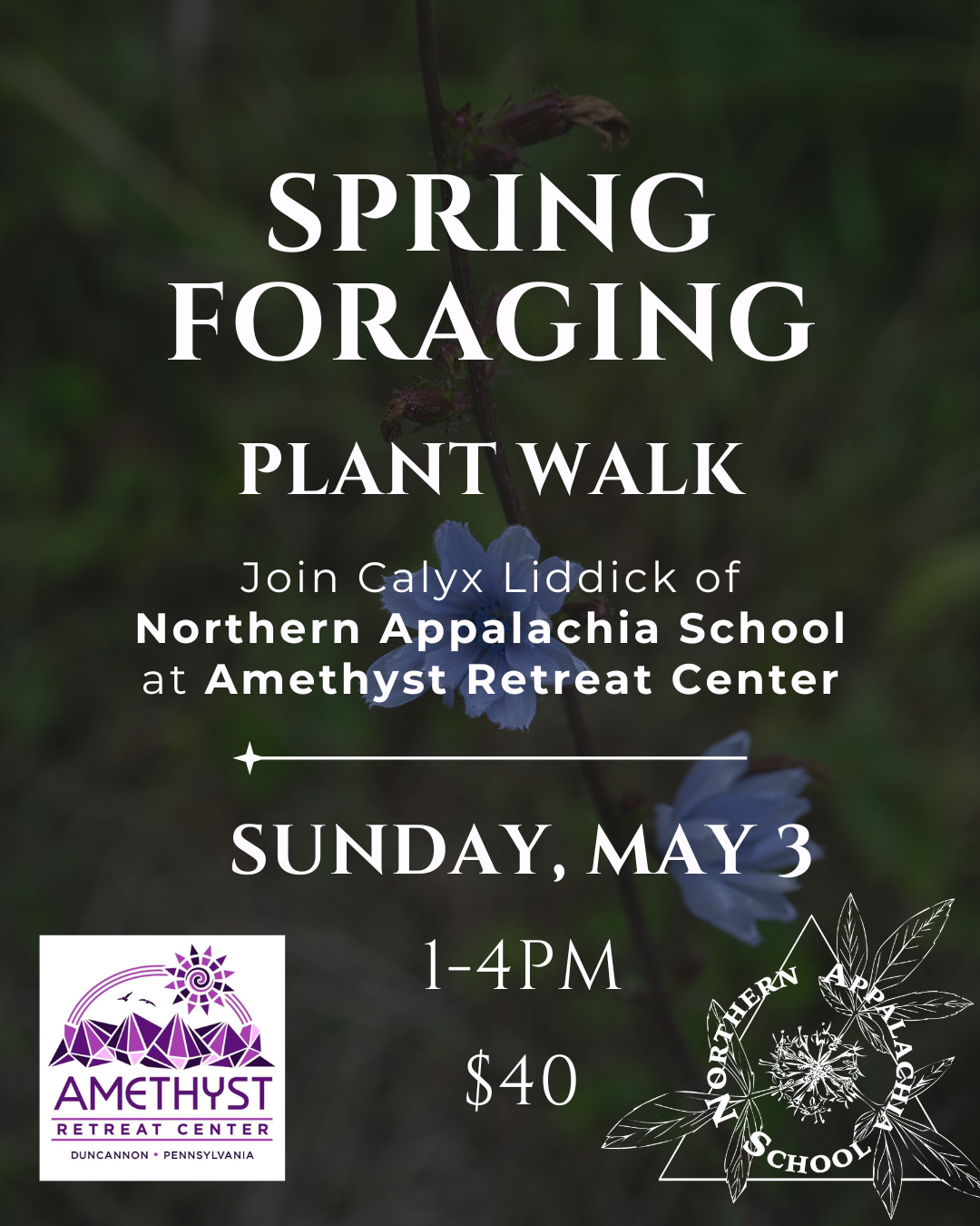 Spring Foraging Seminar