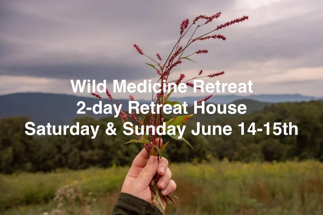 Wild Medicine Retreat 2-day Retreat House