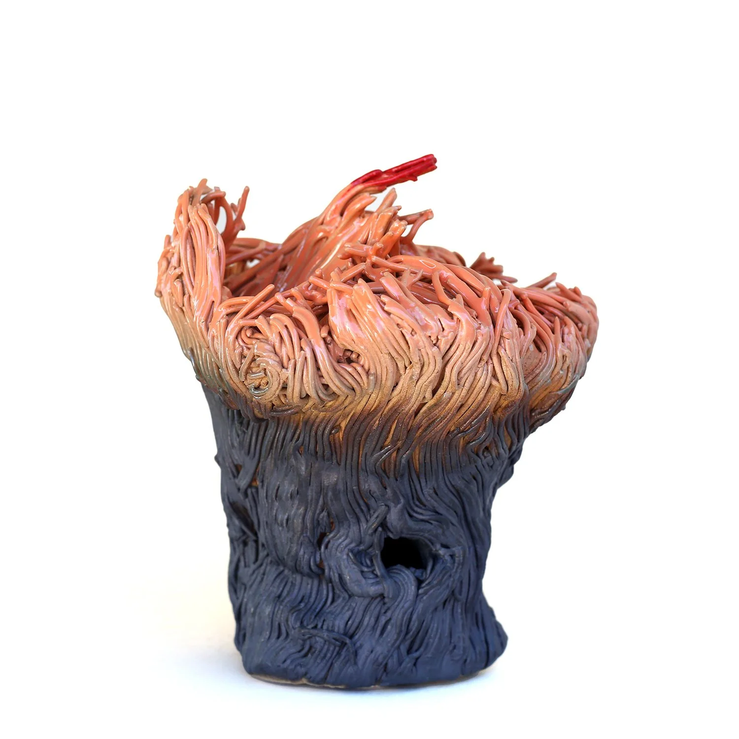 Stoneware, 9"x 12", stain and glaze, 2026