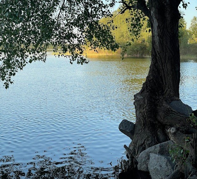 Dumping More Sewage into the Charles? Just Say No!