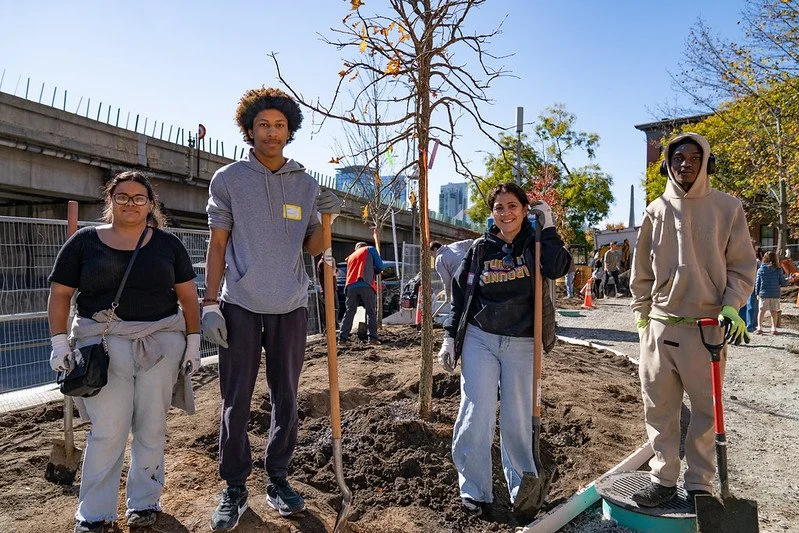 How Trees Help Fight Climate Change 