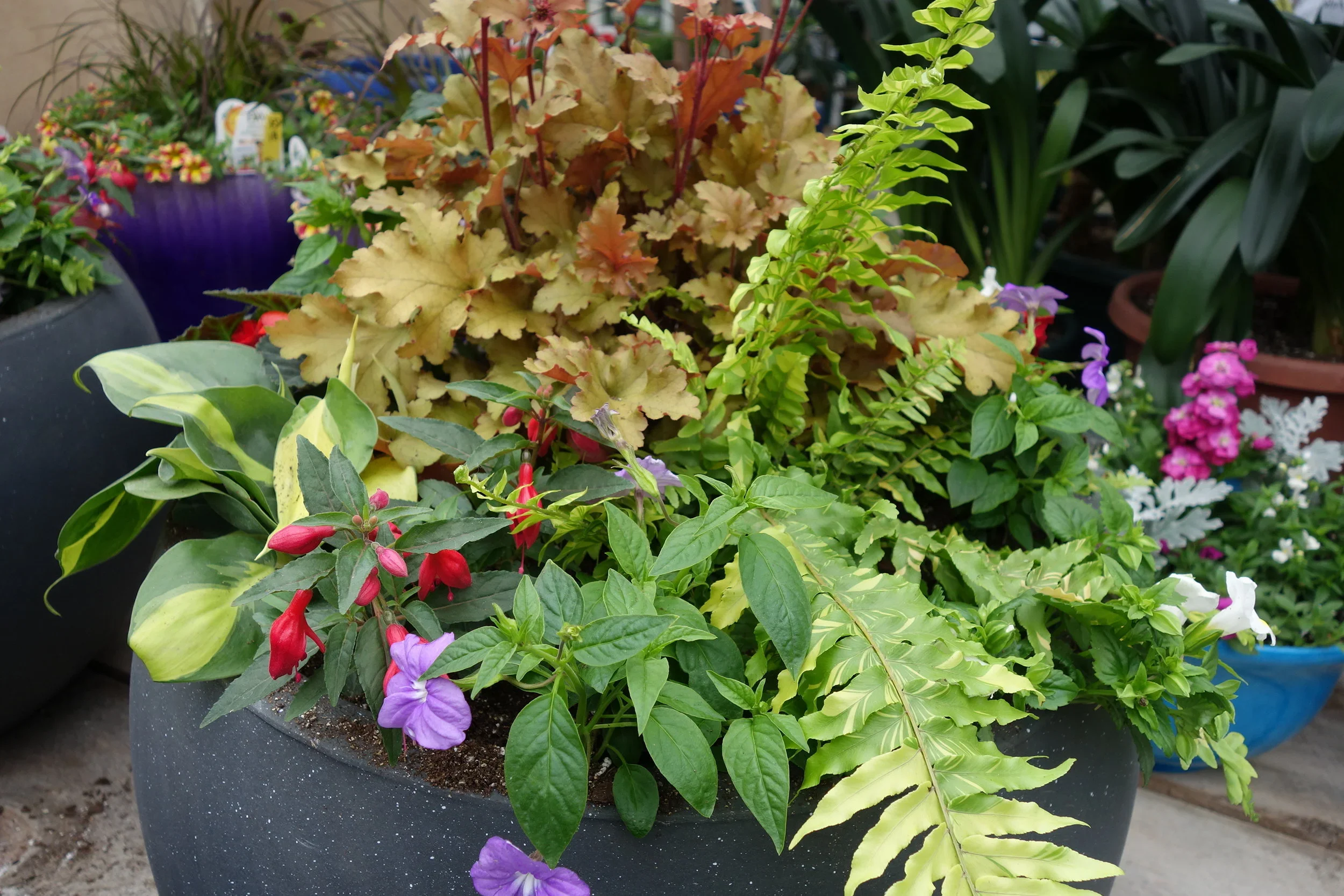 Plant Sale