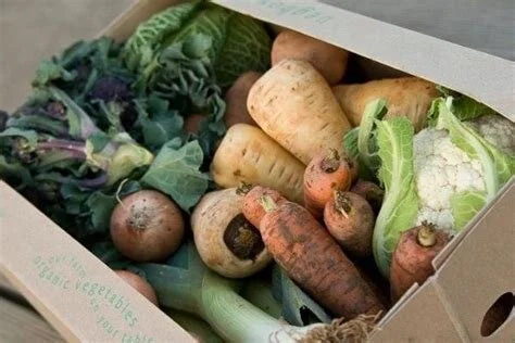 Just Good Food: What’s Growing?