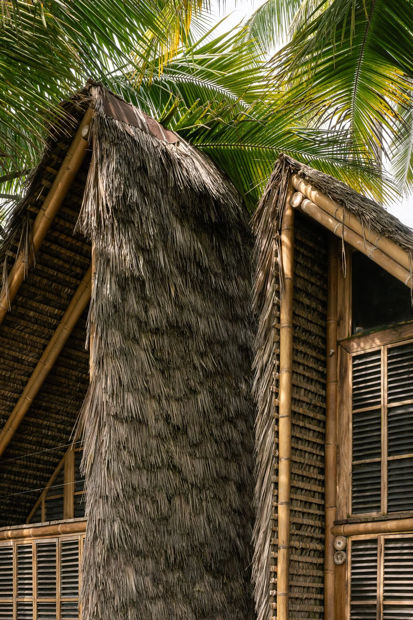 ©Francesco Russo_Casa Toquilla_Web_002.jpg