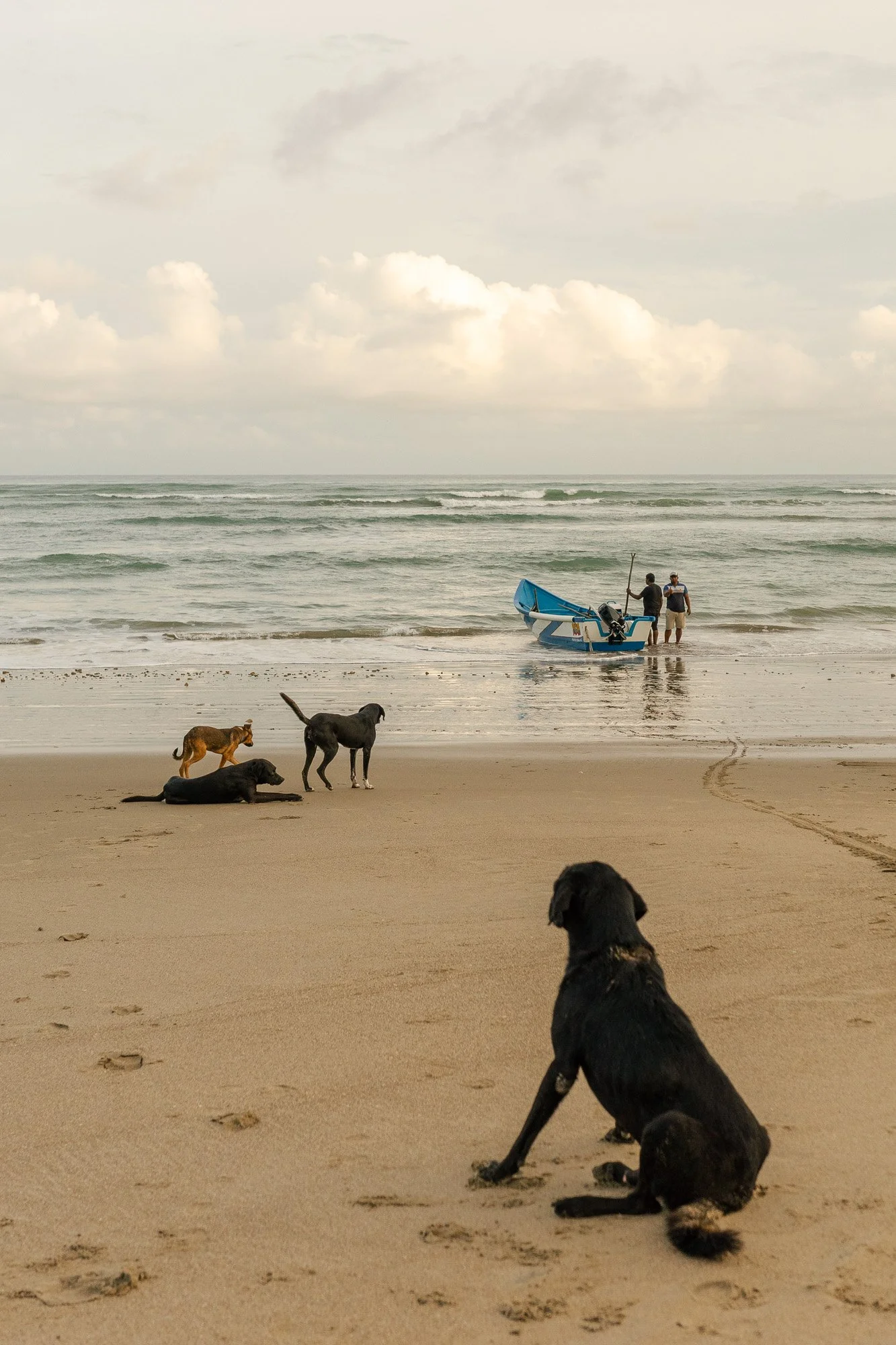 ©Luca Piffaretti_Las Tres Esperanzas_Web_008.jpg