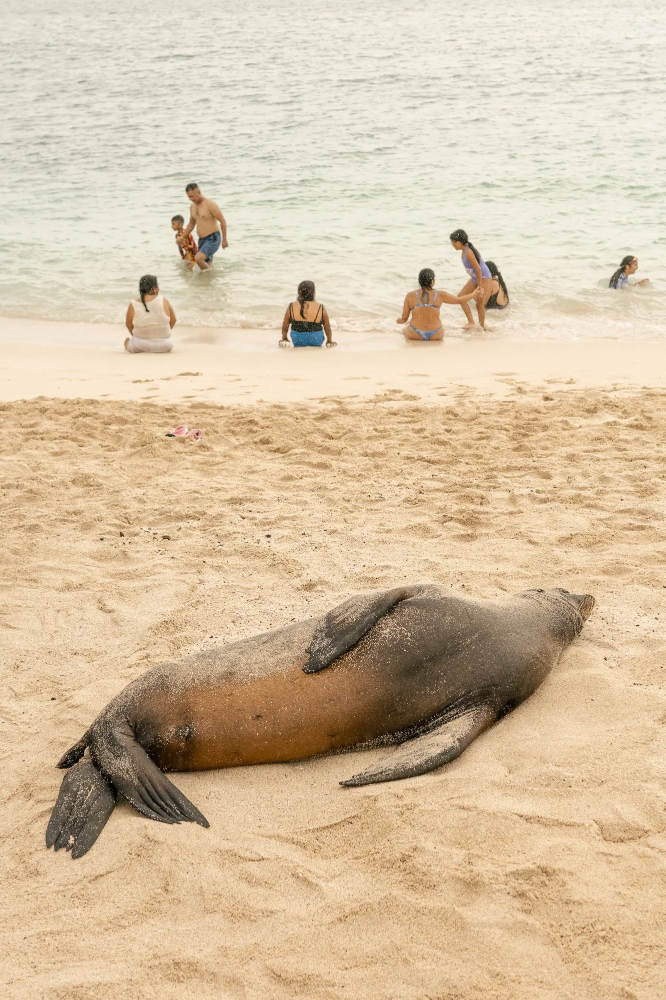 ©Luca Piffaretti_Ecuador San Cristobal Galapagos_Web_0007.jpg