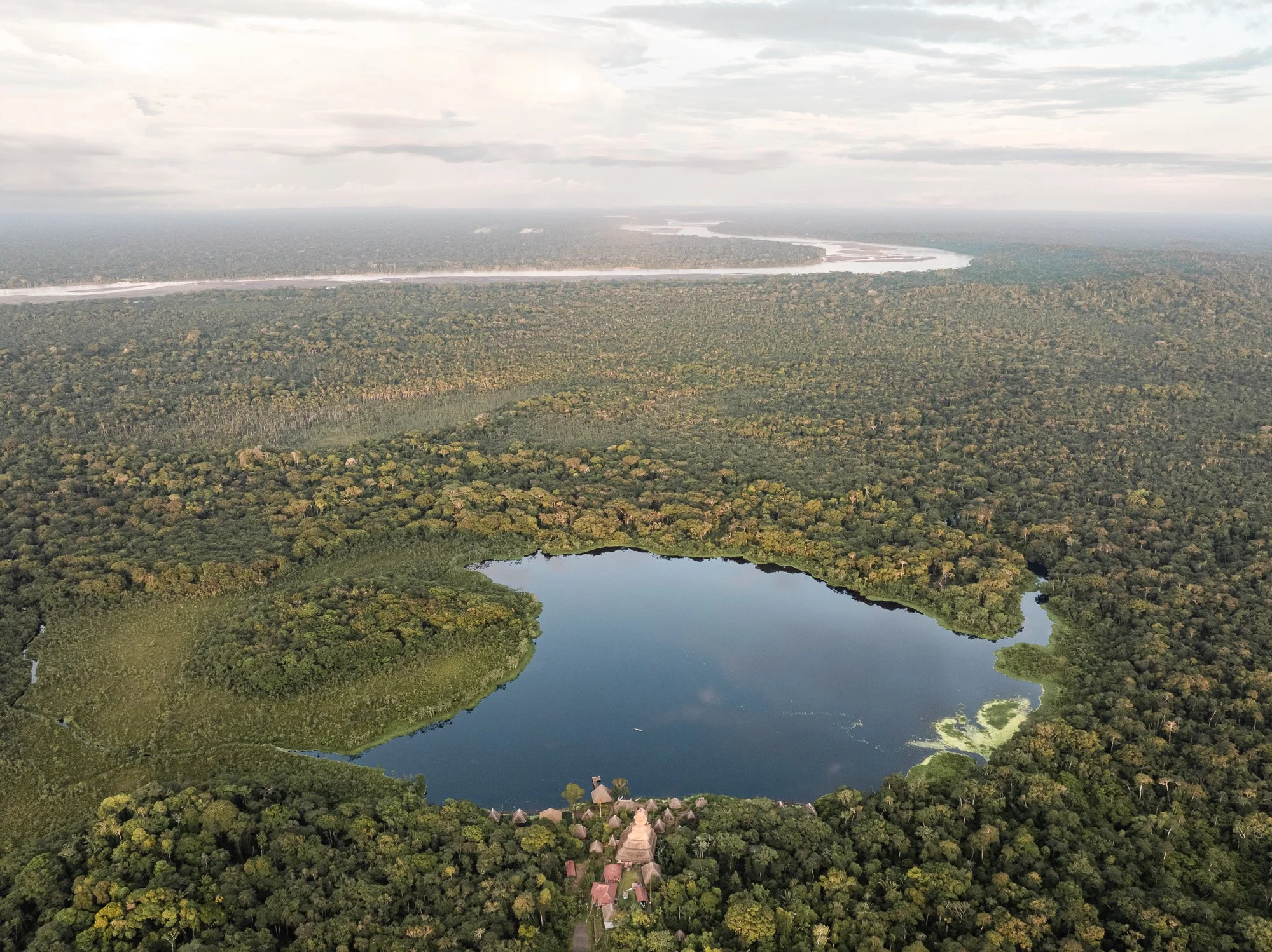 ©Francesco Russo_Torre de Napo Wildlife Center_Web_004.jpg