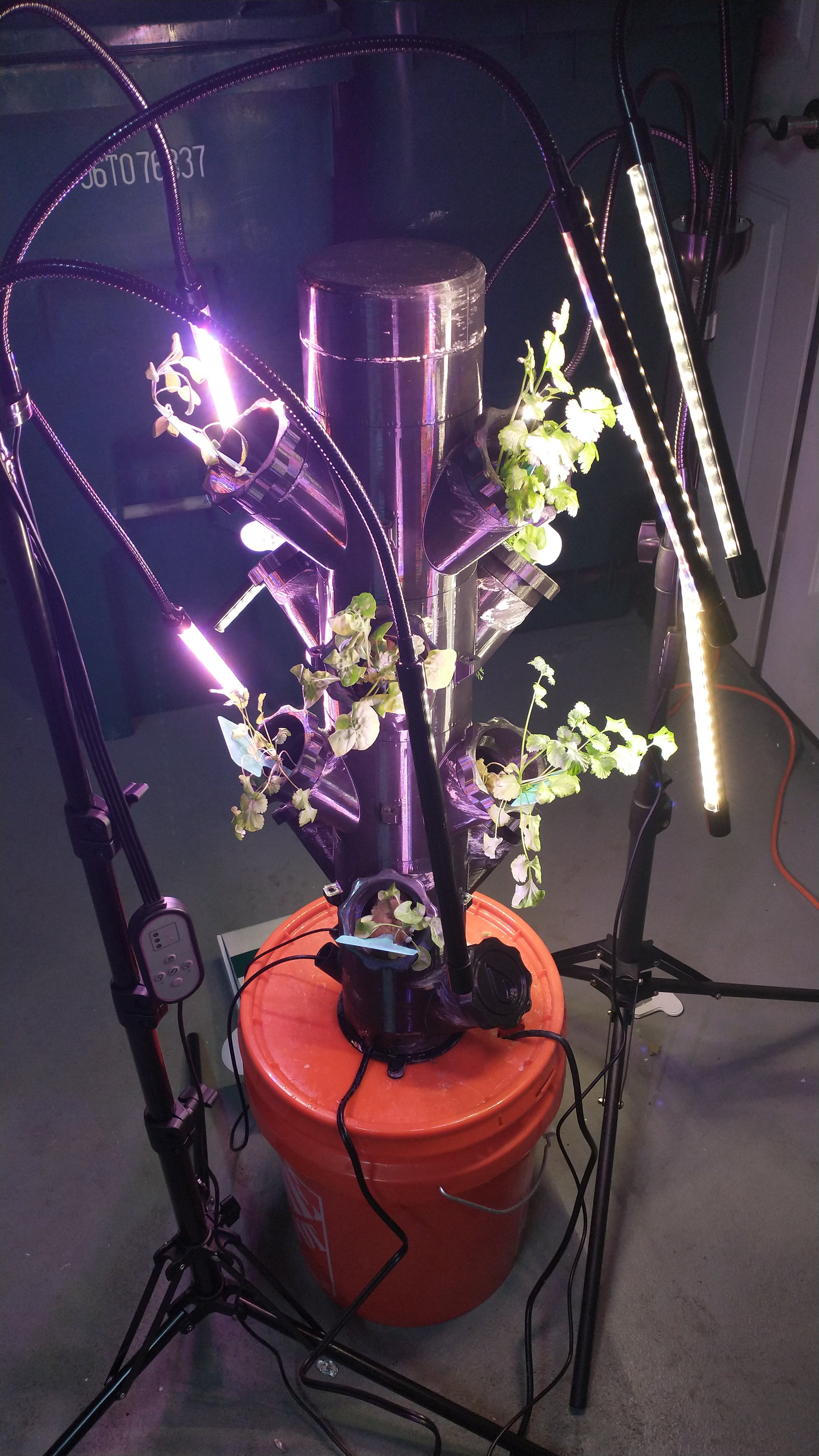 The vertical tower setup. Sage can be seen at the top left, and cilantro and arugula occupy the remaining spaces.
Note how the plants closer to stronger light have grown significantly more.