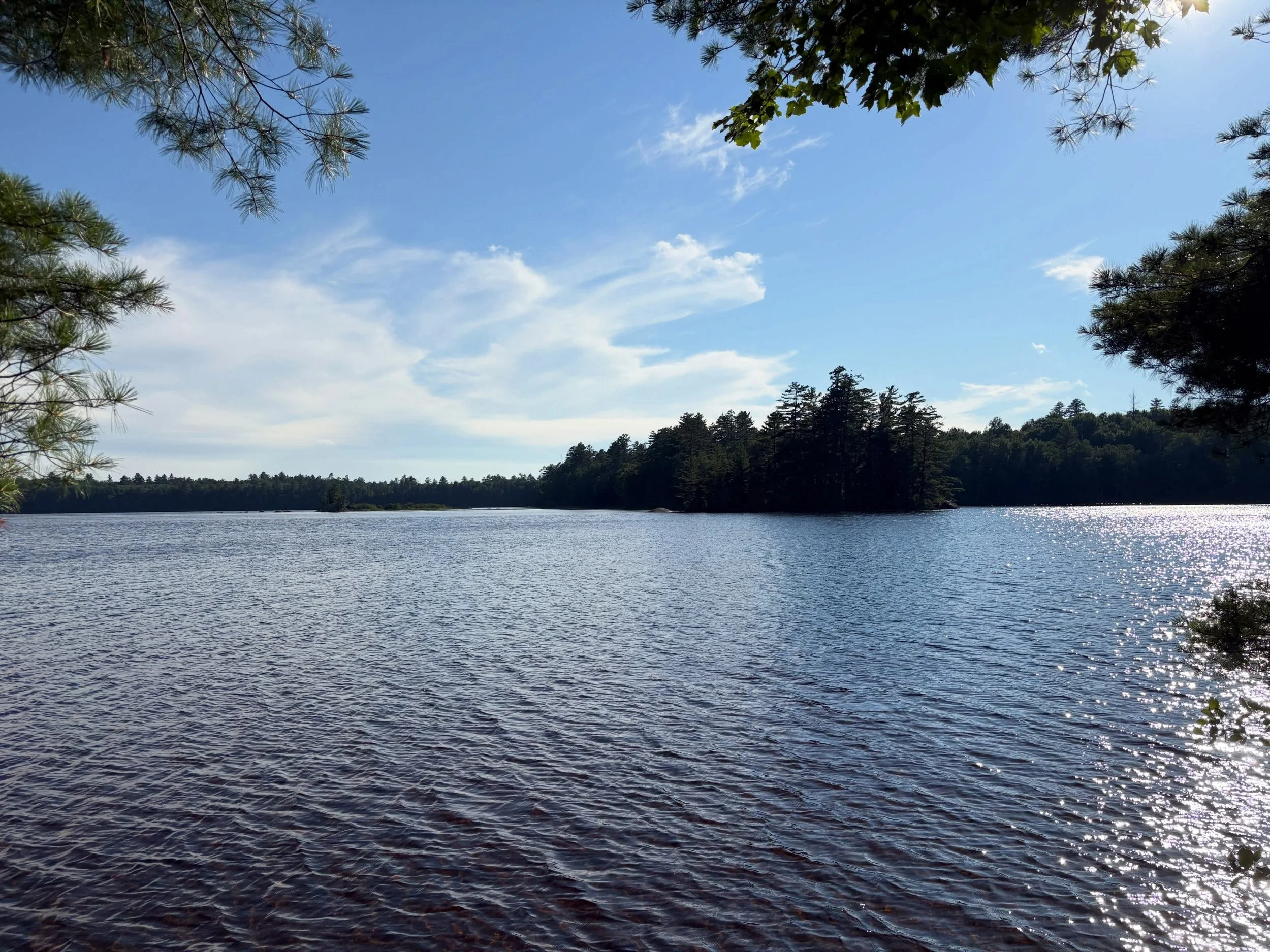Happy Summer all!
Whatever you&rsquo;re doing , hope you&rsquo;re enjoying it. Summer is for letting go and letting be. 
We&rsquo;ll be here for the next few days doing just that! Thank you all for allowing us this time. ☀️🕶️✌🏼
