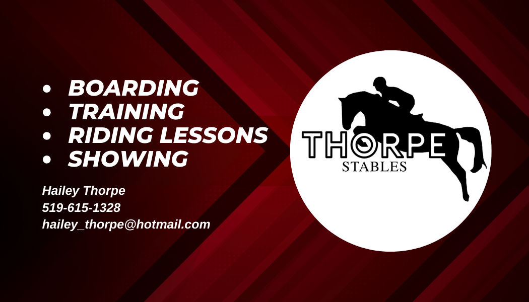 Boarding • Training • Riding Lessons • Showing 5196151328 Hailey_thorpe@hotmail.com (1).png