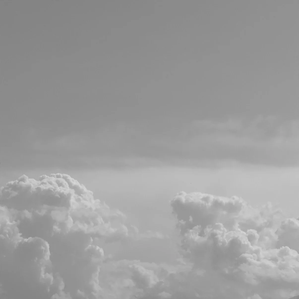 Preservatives (a poem)