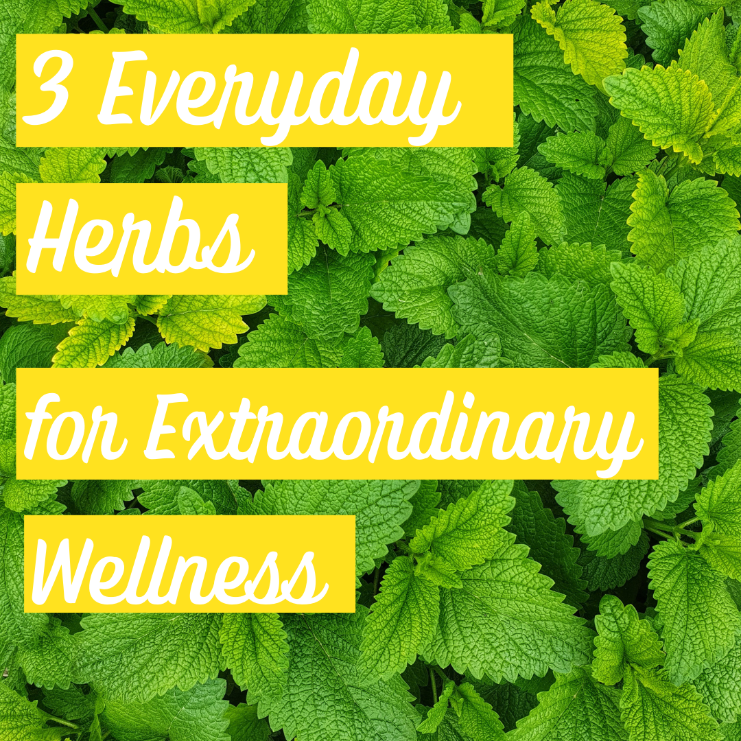 Simple herbs for wellness