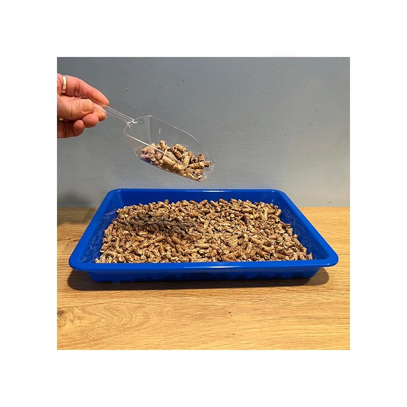 Hedgehog Litter — The Hedgehog Store