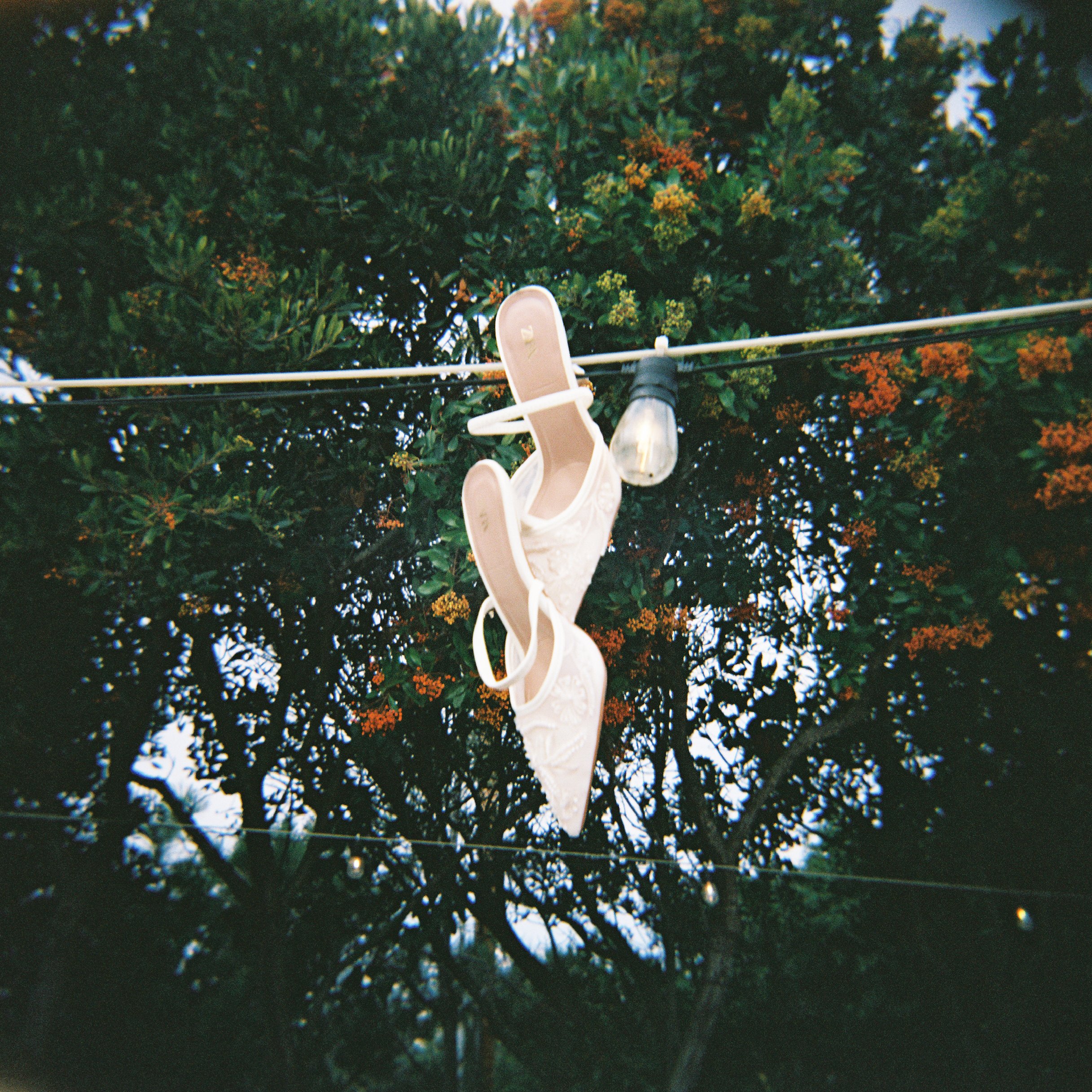833043_004.jpg