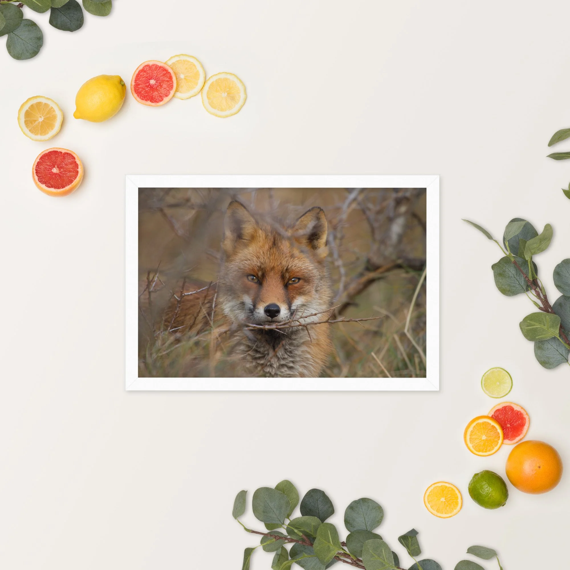 enhanced-matte-paper-framed-poster-(in)-white-12x18-springsummer-650c358566eea.jpg