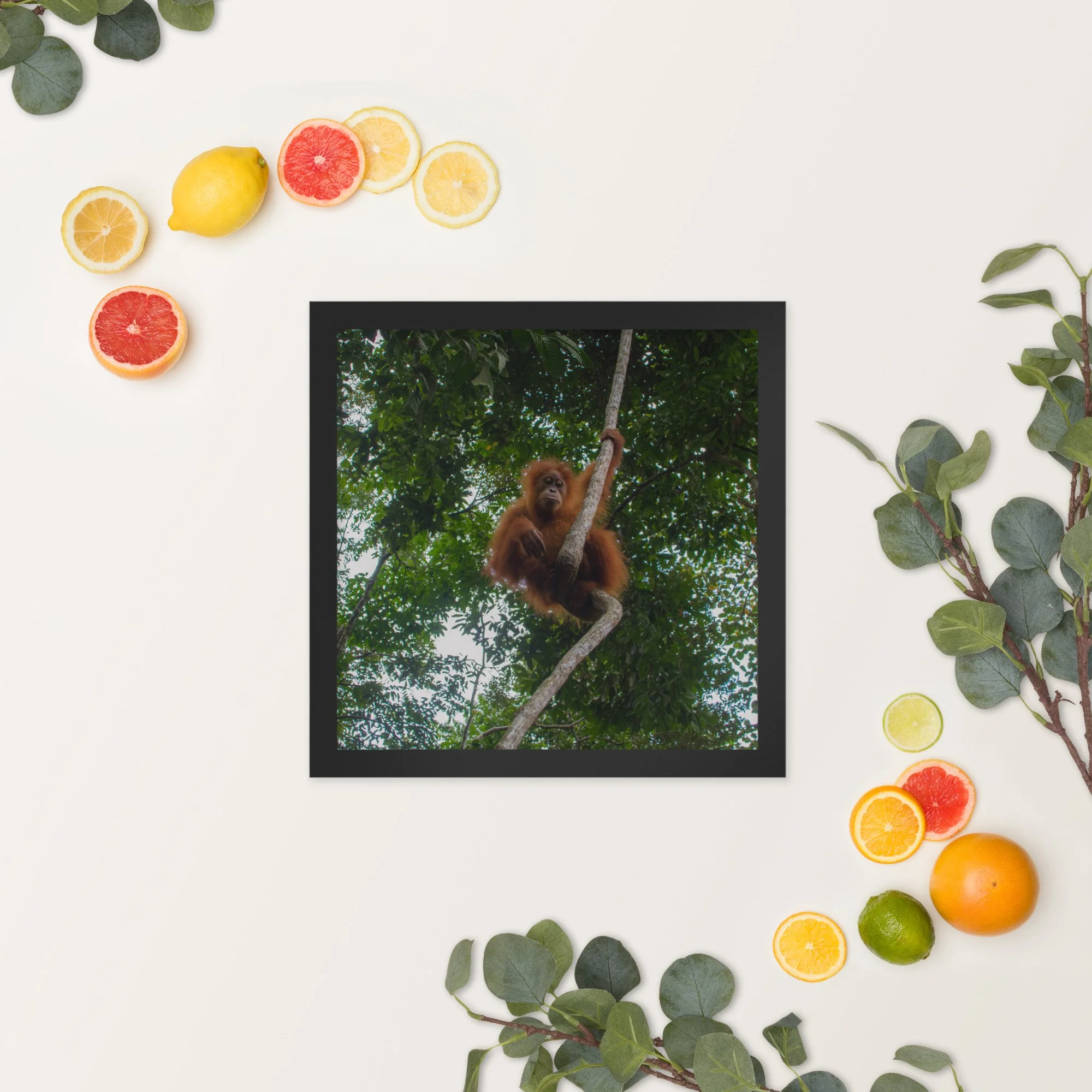 enhanced-matte-paper-framed-poster-(in)-black-14x14-springsummer-650c368a0fb99.jpg