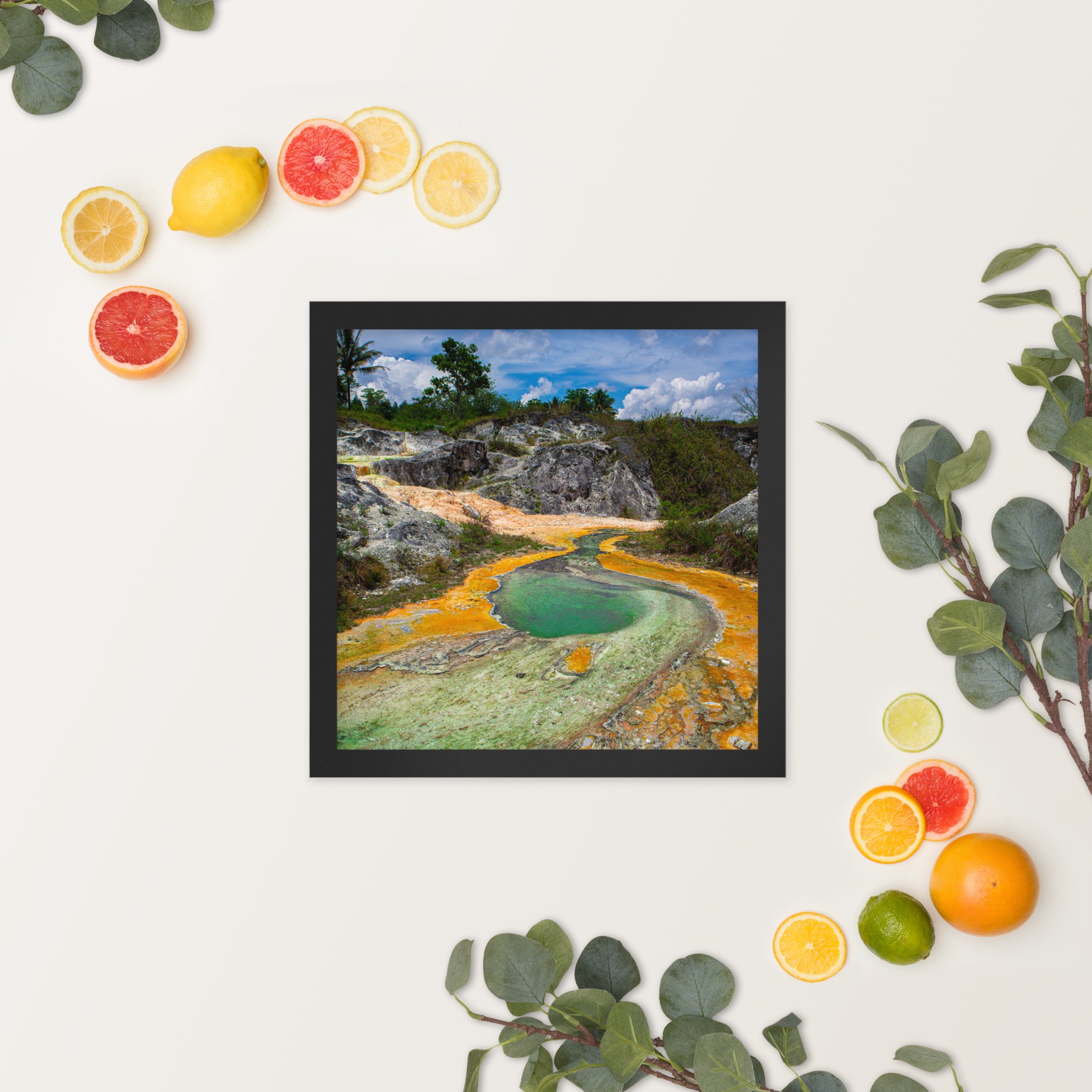 enhanced-matte-paper-framed-poster-(in)-black-14x14-springsummer-6511fda2e6c27.jpg