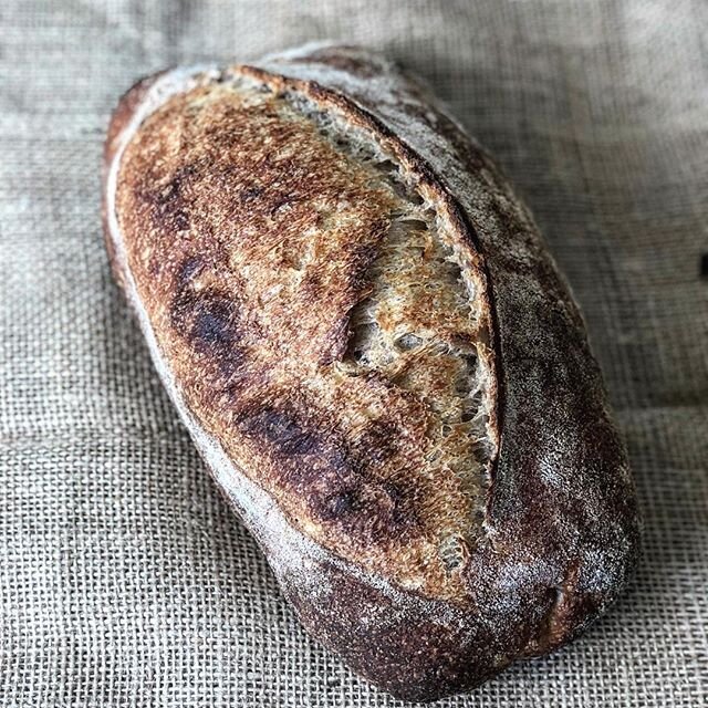Beginner's Rustic Sourdough Loaf - Scratch Eats