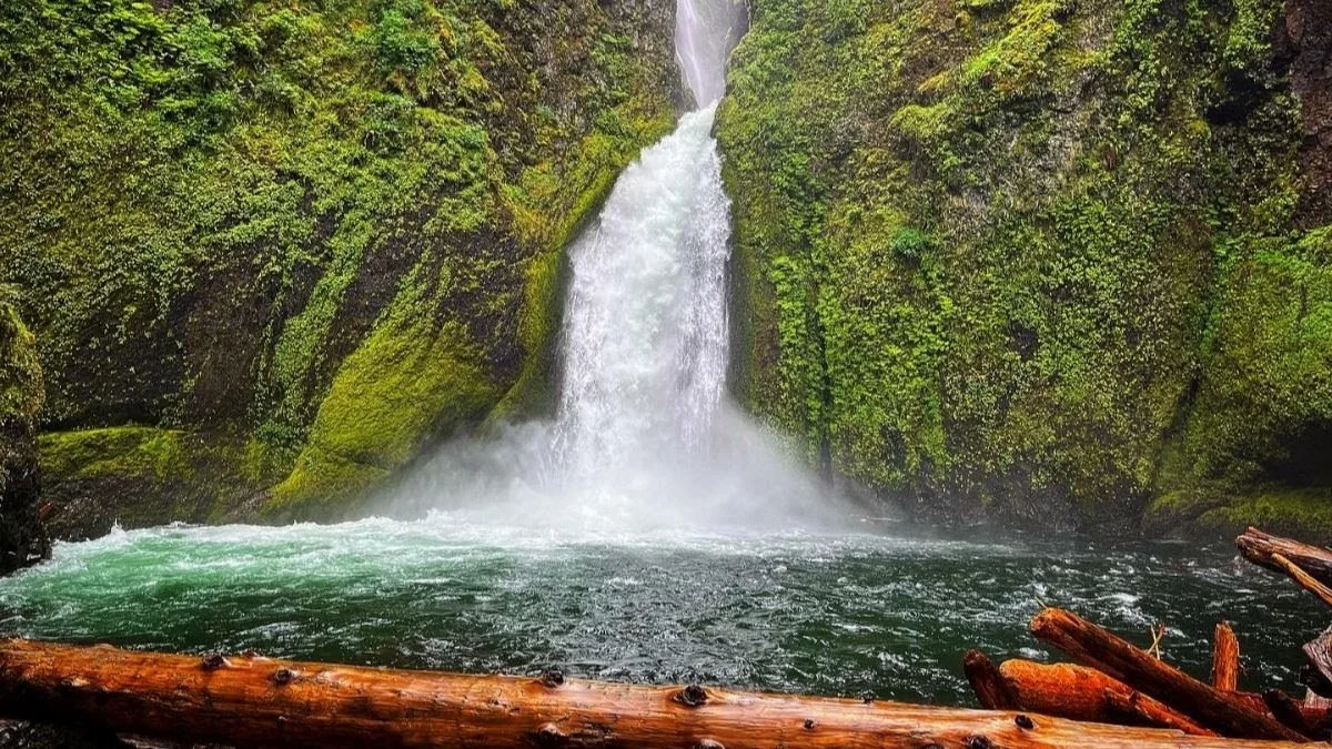 Baptism and Solidarity