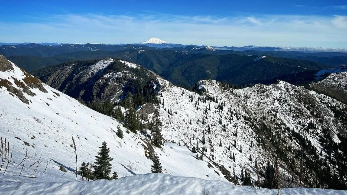 How to Survive Empire