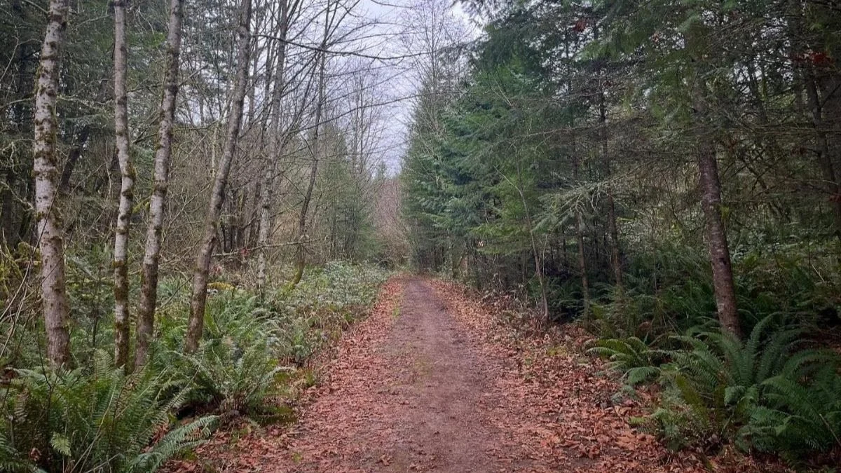 Attention and Empire's Algorithms (Guest Speaker: C. Wess Daniels)