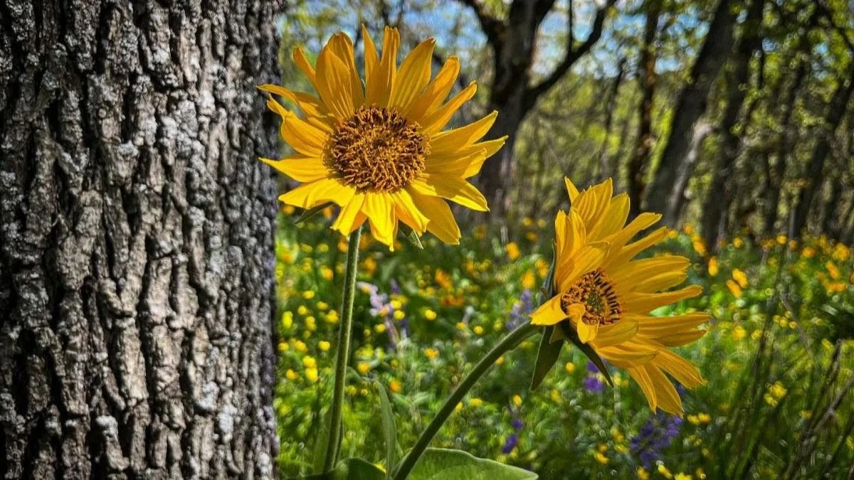 Love Will Keep Us Alive