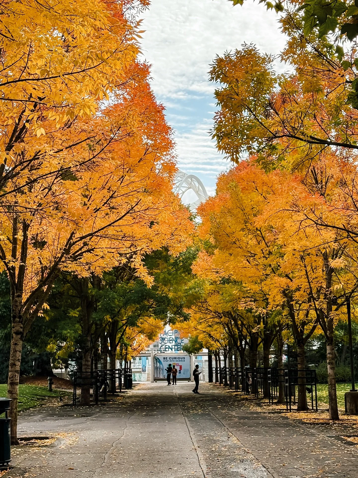 Seattle, w okolicach Seattle Center ✨📸 Zawsze się szykuję na ten krótki moment, kiedy można uchwycić ten kadr i tym razem się udało!🤗😆🍂🍁🍂🍁
@kobiecafotoszkola 
#na_ulicy_fotowtorek_2025 #seattle #pnw #pnwfall #washingtonstate #mopopseat