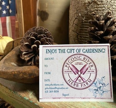 prhf_gift certificate.jpeg