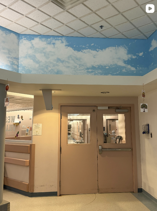 Interior view of a building, featuring a beige door with windows and a sky-themed mural on the ceiling showing blue sky and white clouds.