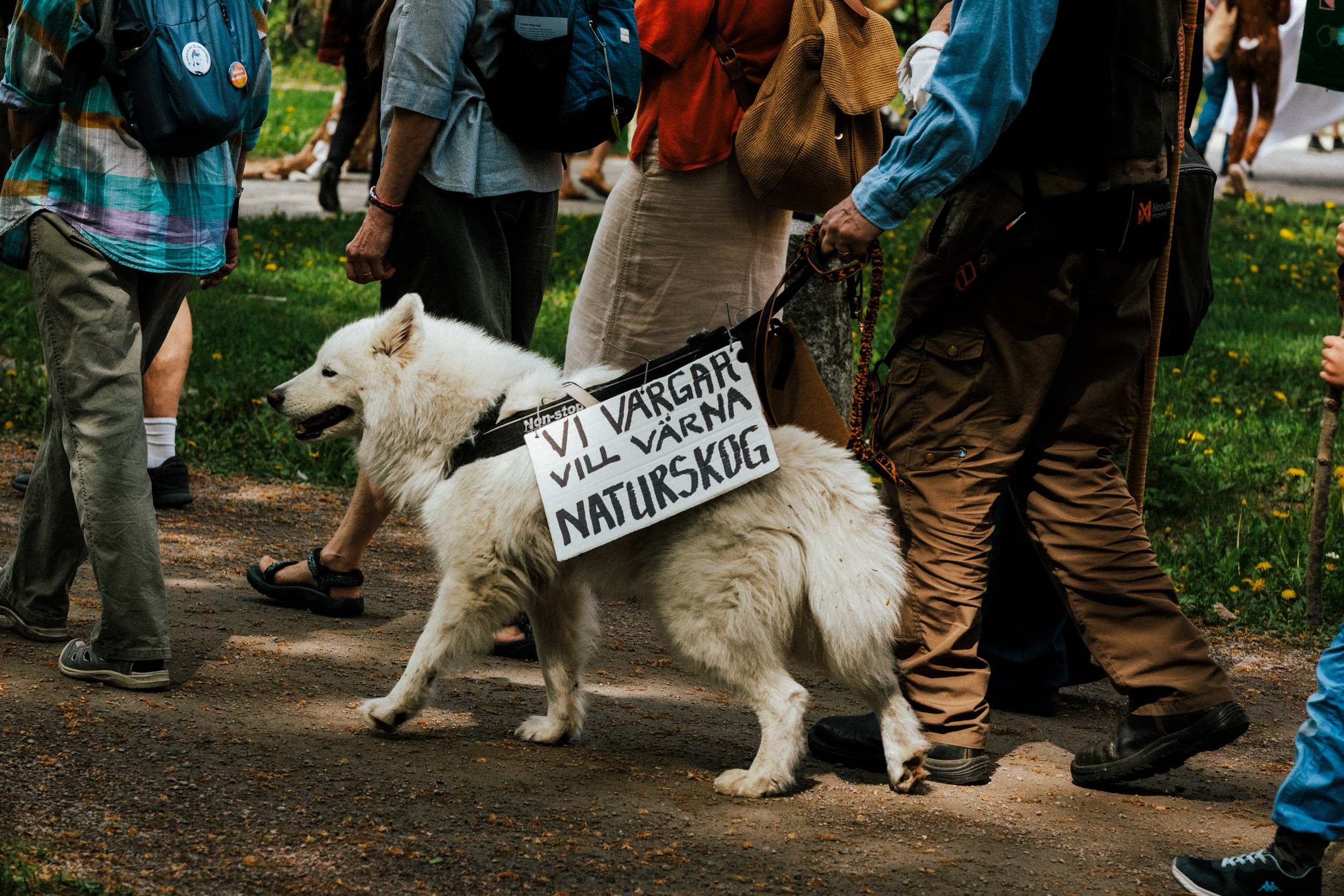 DSCF3815.jpg