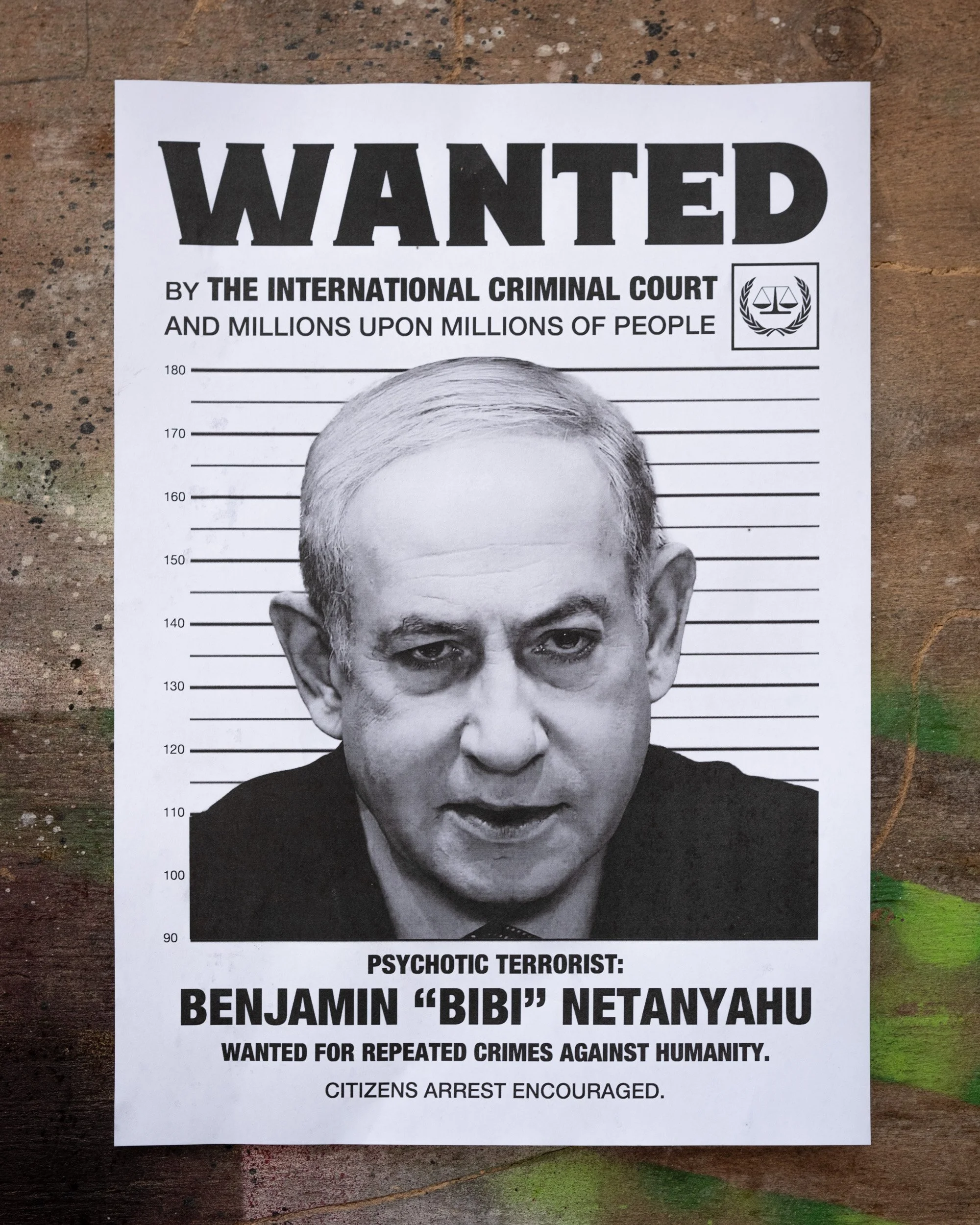 Wanted "Bibi" (Free Download)
