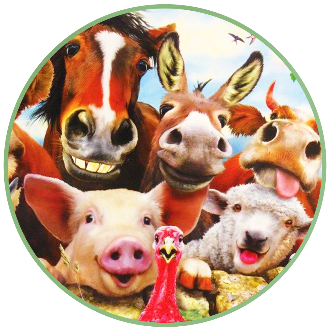 Play Date with Spirit Animals for Kids