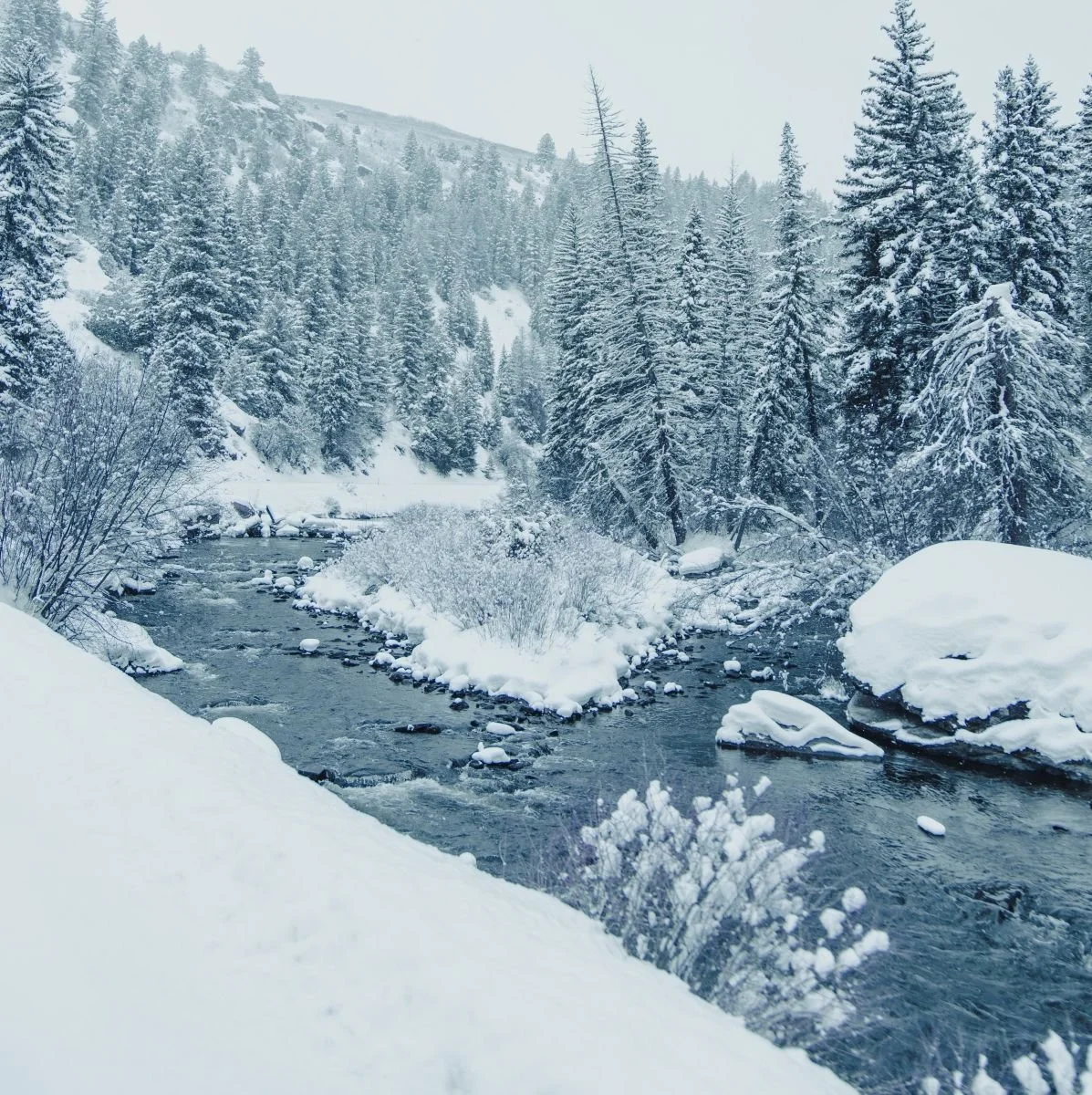 Times are Challenging. Check In with Yourself!