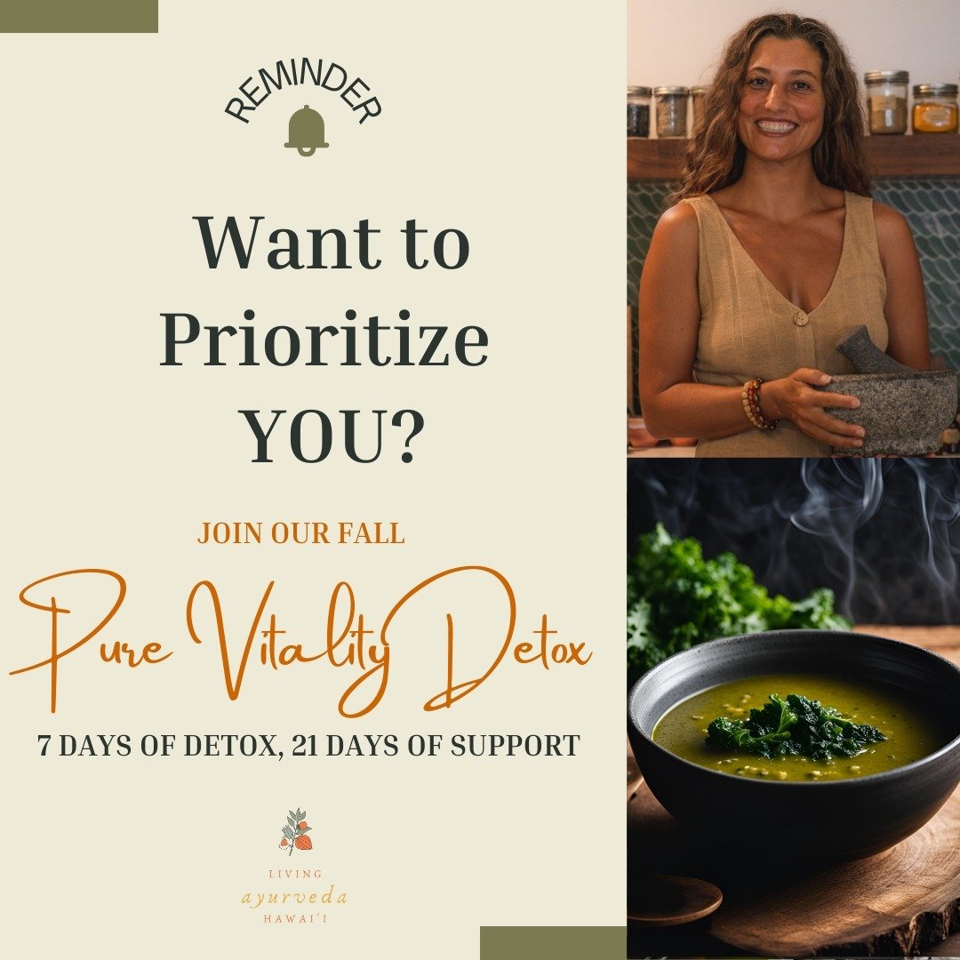 🍂 Fall is the perfect time to reset and focus on YOU, before the craziness of the holidays.

🌟 Join us for the Pure Vitality Detox and dedicate this time to refresh your mind, body &amp; habits. Weʻll have 7 days of going deep with 21 days of suppo