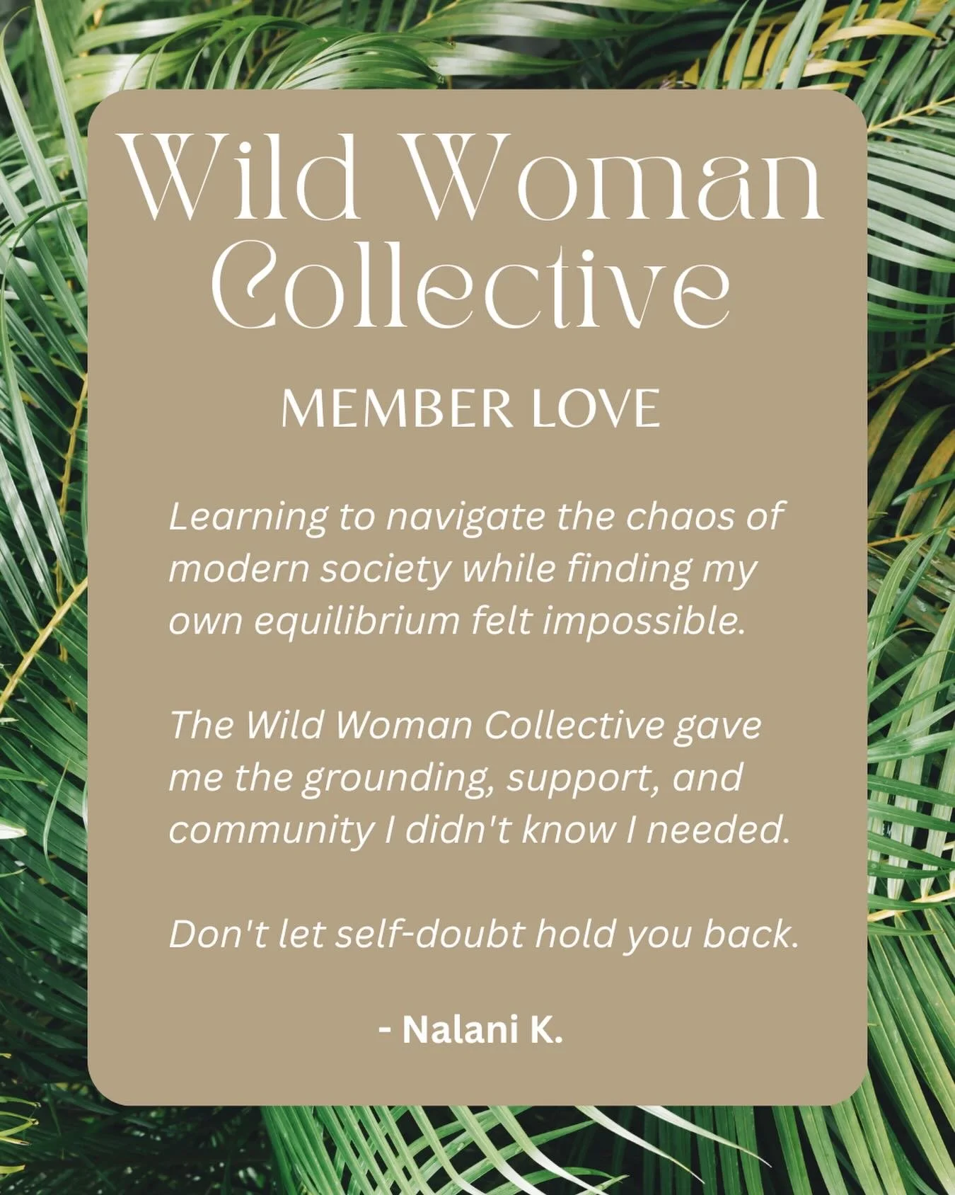 This is what happens when women stop waiting for the &ldquo;right time&rdquo; to choose themselves. 

Nalani joined the Wild Woman Collective, 6 months in and this is what she had to say. 

What if one conversation changed everything about how you sh