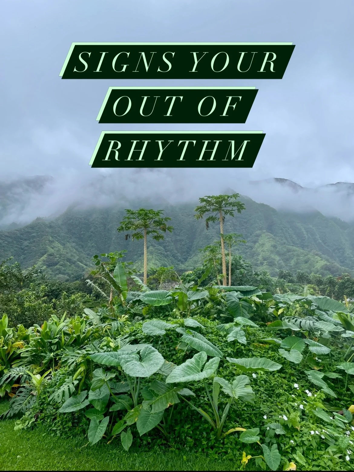 Which one of these sounds like you right now? 

If you recognize yourself in any of these, you&rsquo;re not broken. Your rhythm is just out of sync. 

And that&rsquo;s fixable. 🌿

#livingayurvedahawaii #ayurvedicliving #nervoussystem #dailyrhythm #w