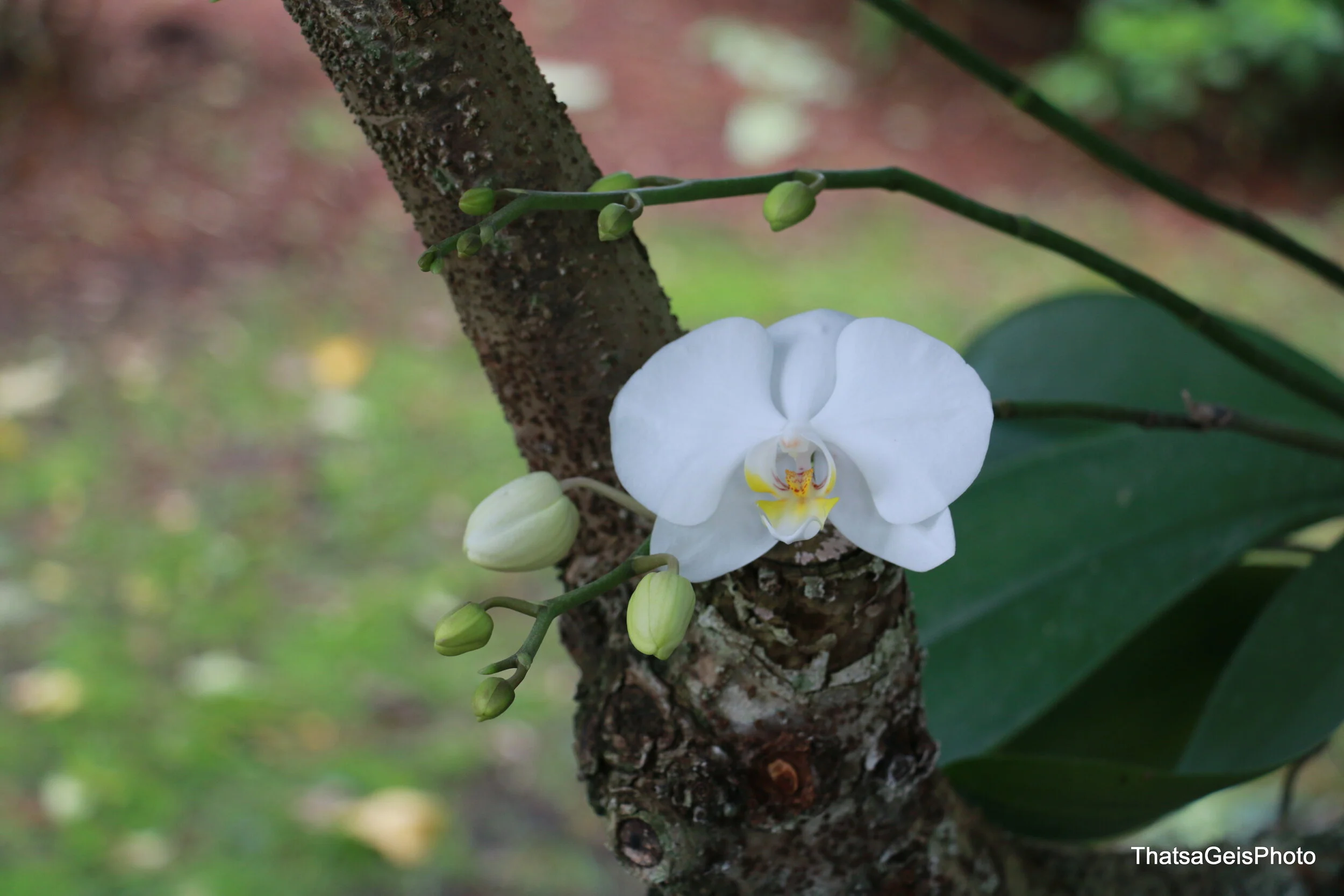 1500-IMG_2895.jpg