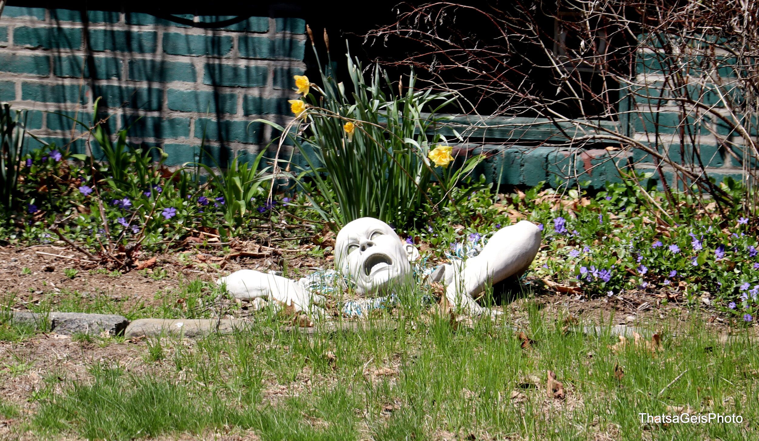 0565-IMG_3149 - Copy.jpg