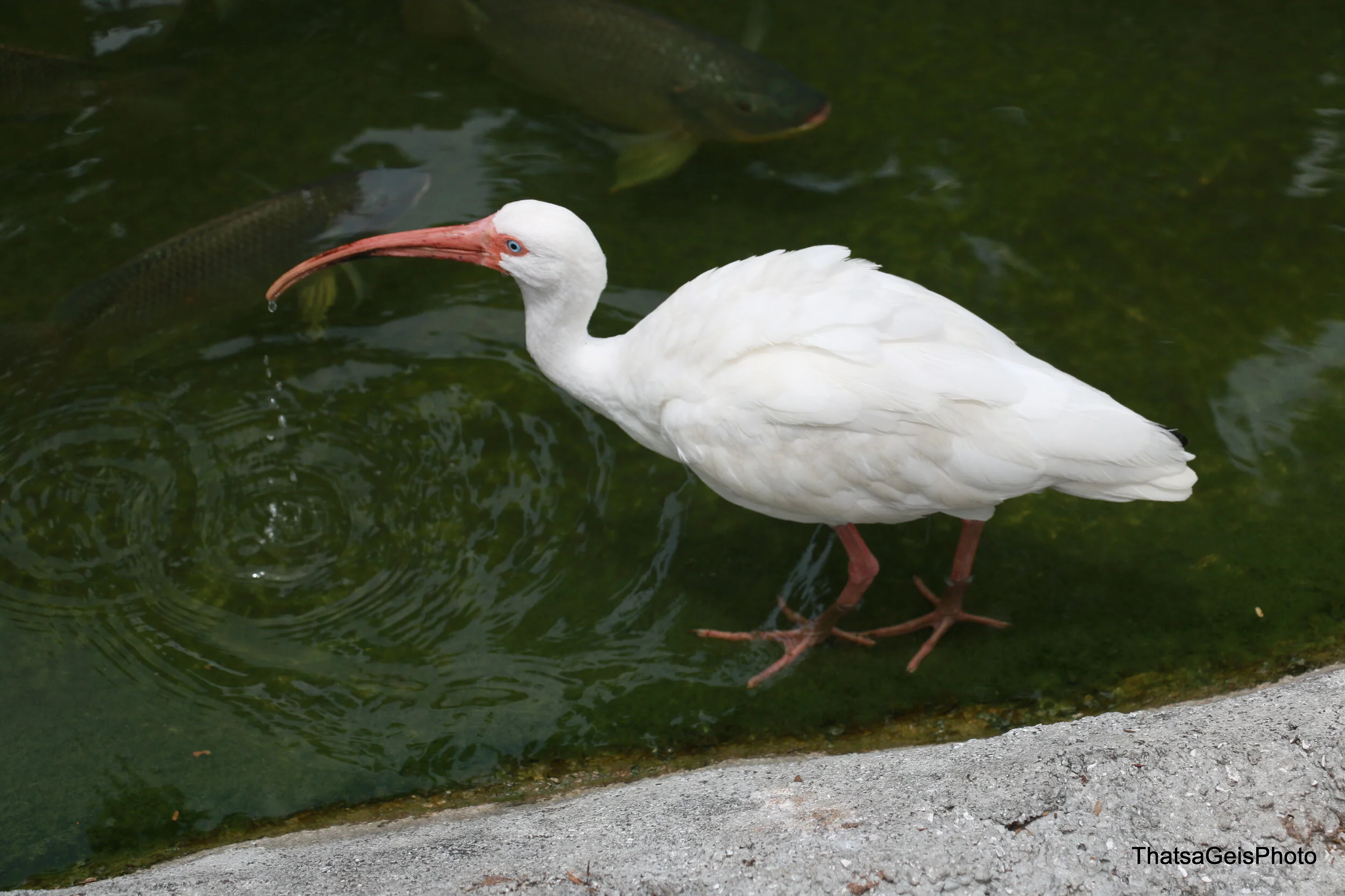0507-IMG_5509.jpg