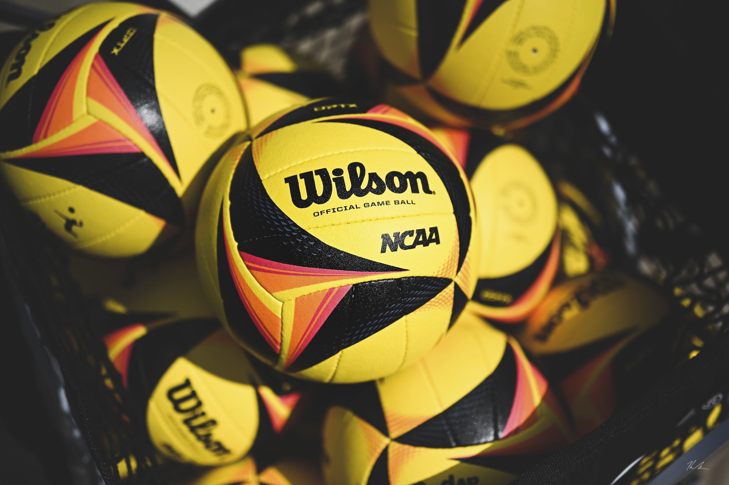 2021_Peter_Donahoe_NCAA_Beach_Volleyball_Wilson_OPTX-2.jpg