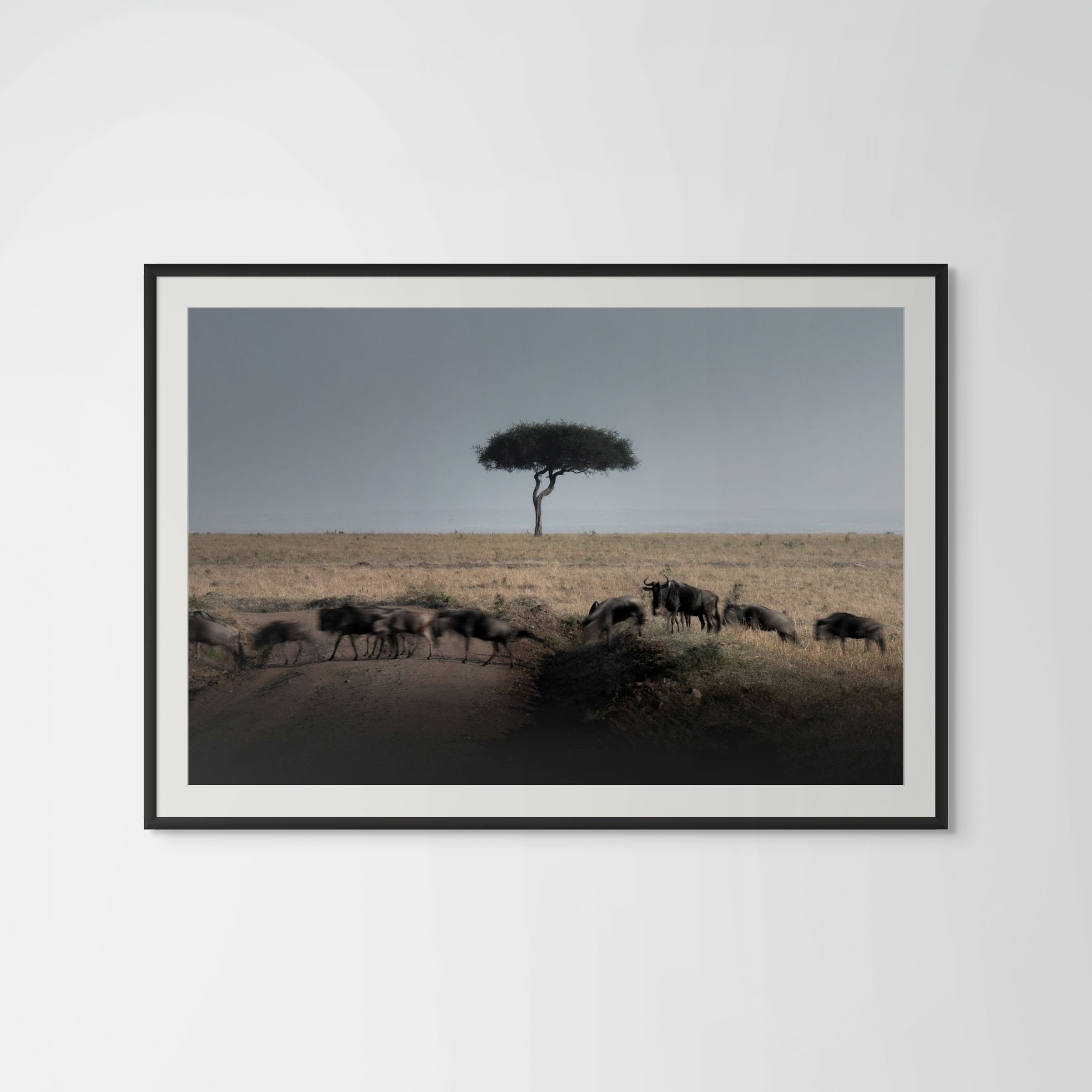 crossroads white background-large.jpg