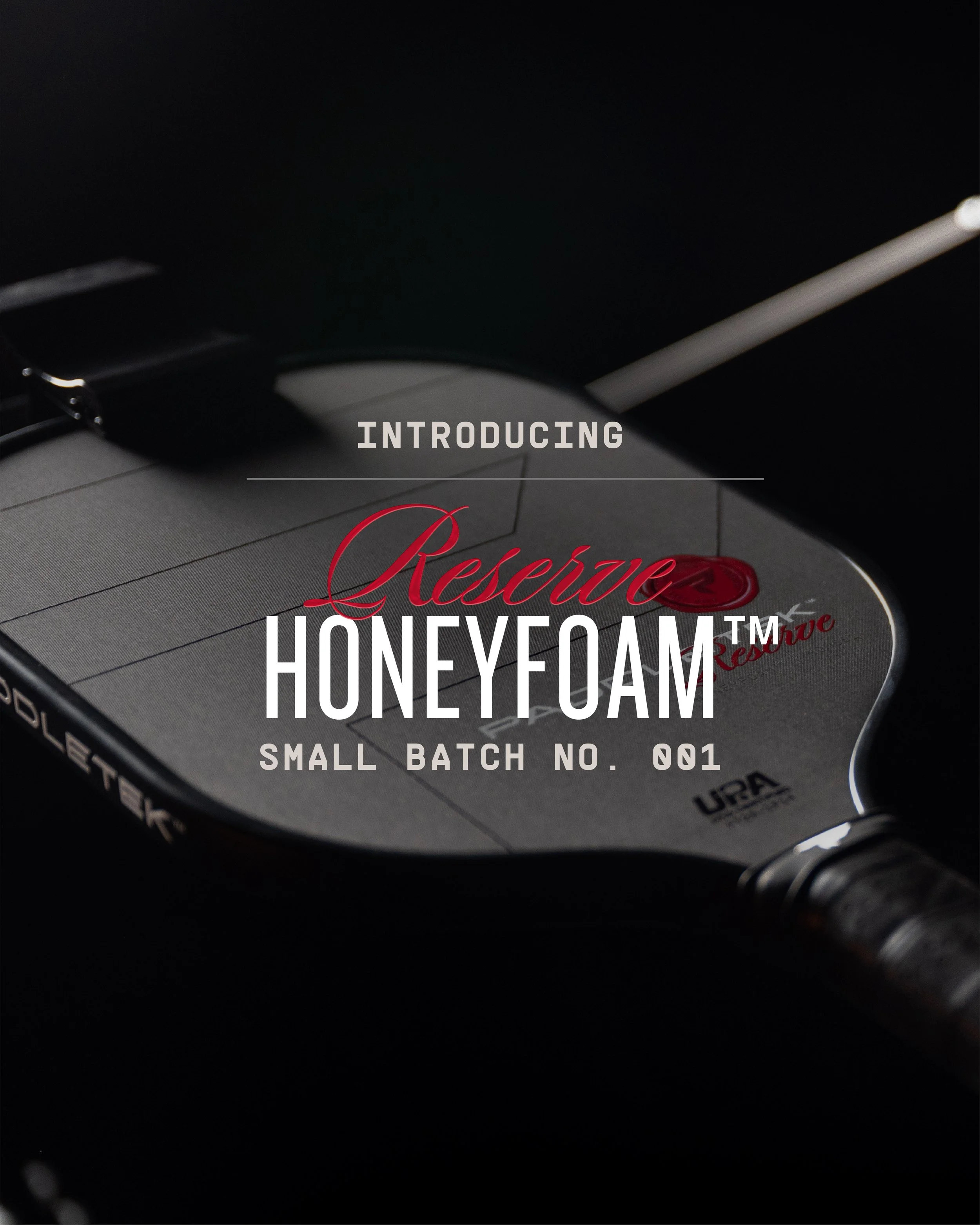 Honeyfoam Carousel 1.jpg