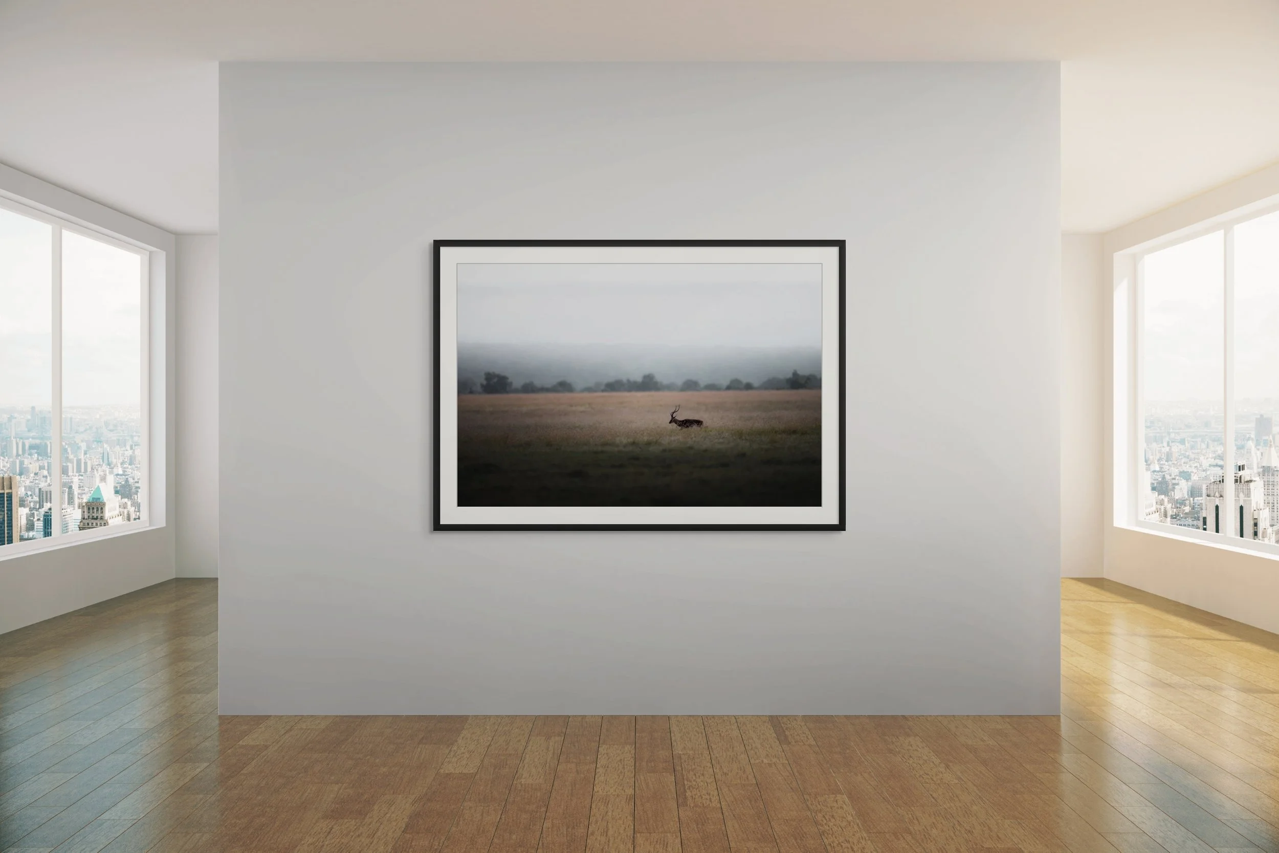 peace in solitude gallery-full.jpg