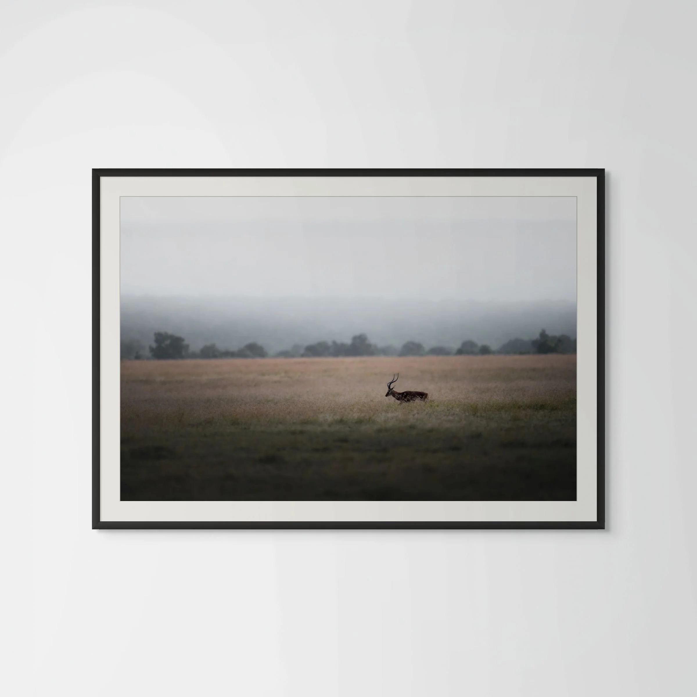 peace in solitude white background-large.jpg