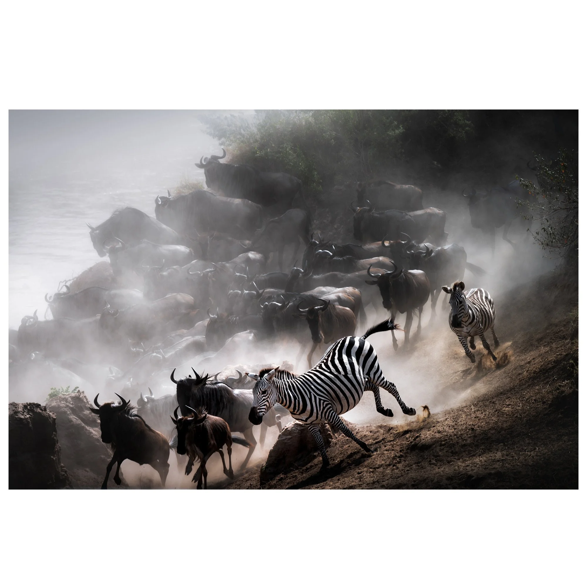 Running with Beasts 1x1 Ecom.jpg