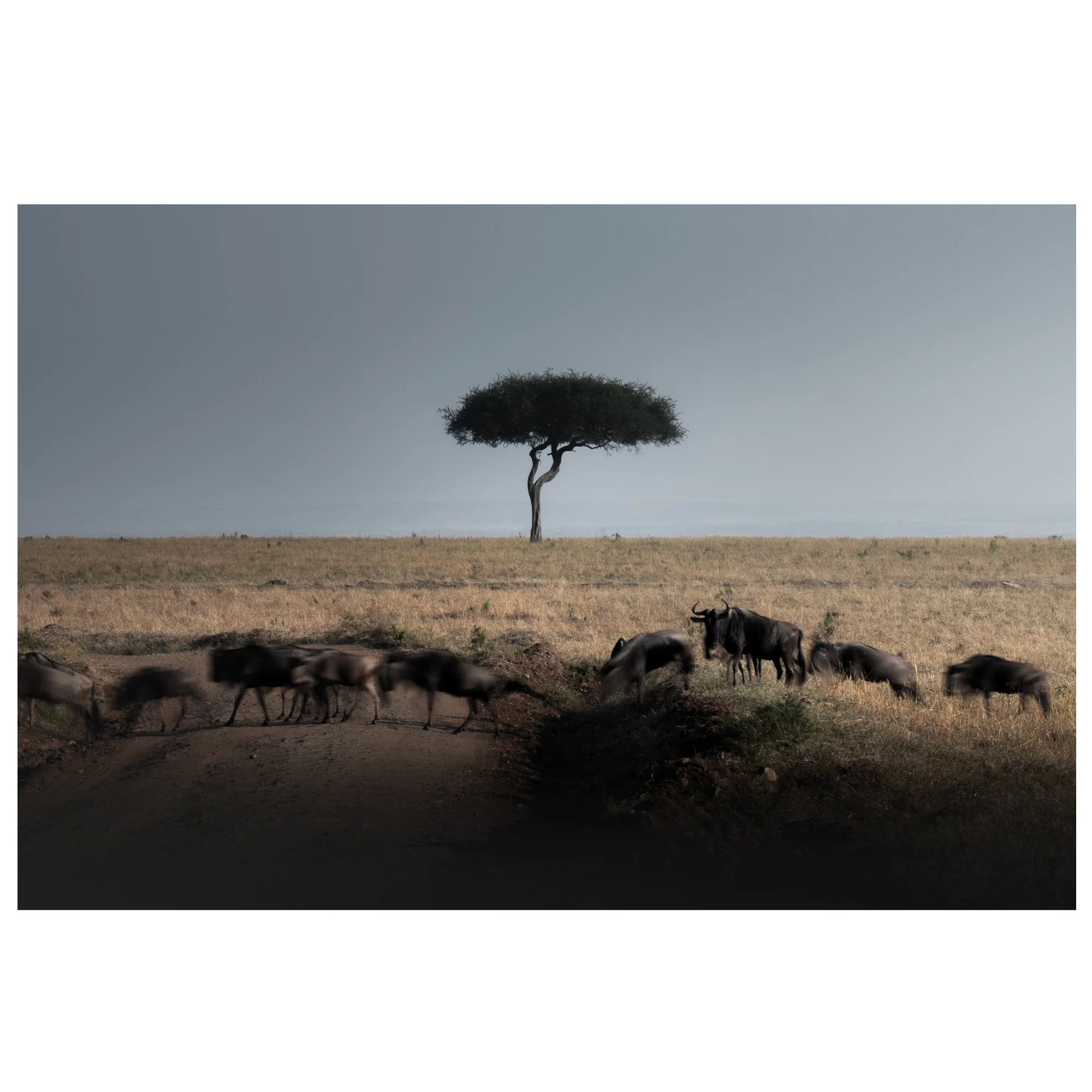 Crossroads 1x1 Ecom.jpg